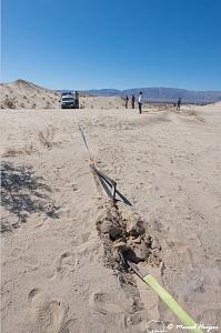 _DSC2164 4x4 recovery course with Bill Burke, Anza Borrego Desert State Park, California, USA.jpg