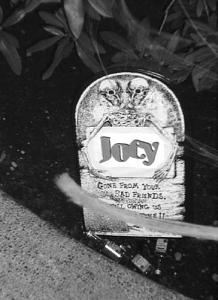RIP Joey - Just kidding around  Halloween.JPG