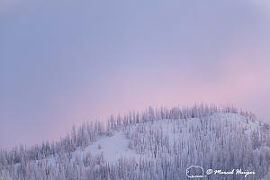 _DSC8226 Snow covered mountain and pink sky, Wyoming, USA-2.jpg