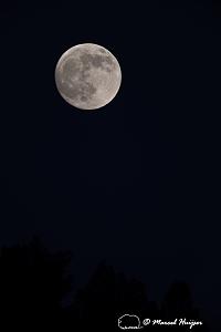 _DSC8402 Near full moon, Wyoming-2.jpg