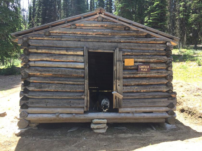 Partially restored Canfield Cabin