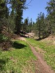 Quaking Aspen Trail, Zuni MTB