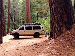 Sierra Range, Shut Eye Complex near Chiquita Dome, 4x4 road into trees HUGE Old Growth Cedars galore! That Giant is about ten feet away from the rig,...