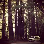 Rolling through the Redwoods....our first day (and first few hours) into the Sportsmobile experience :) :) :)