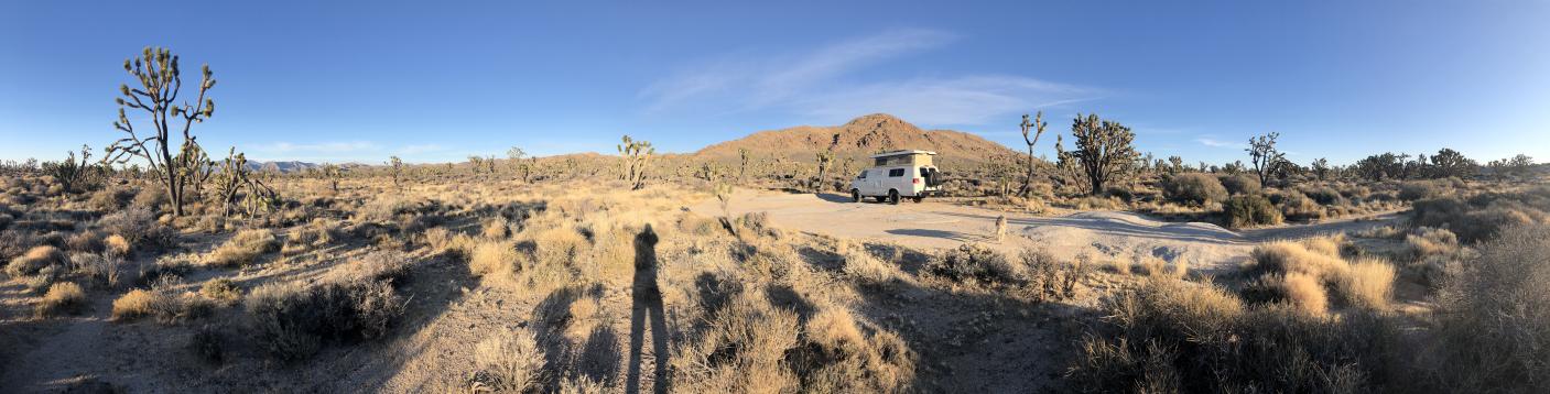 Mojave Preserve Thanksgiving 2018