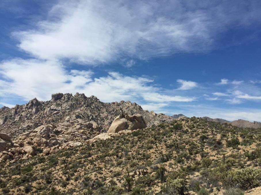 Can you find the Geologist 3
March 2017
Granite Mountains, Mohave National Preserve