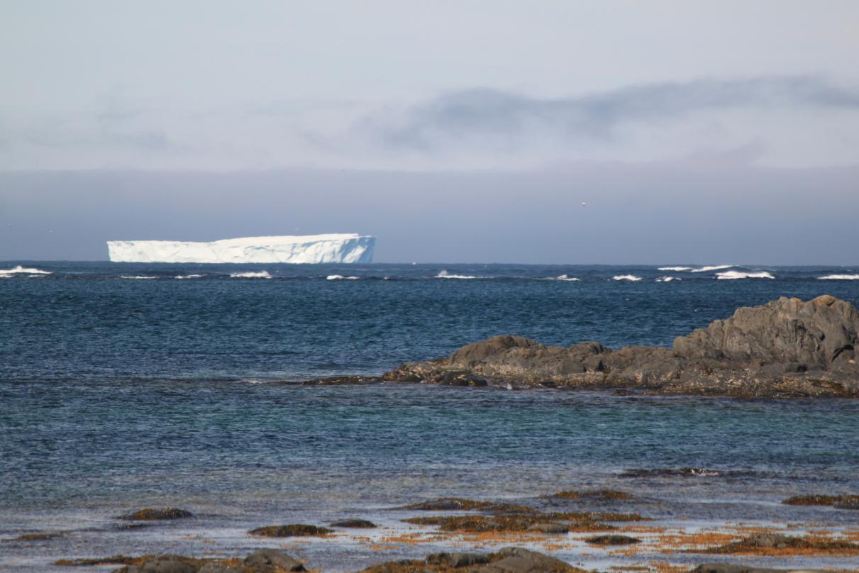 The small dot to the right of this iceberg is either a tour boat or a fishing boat.